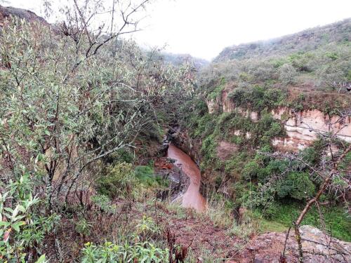 2015 Kenya Safari (380)