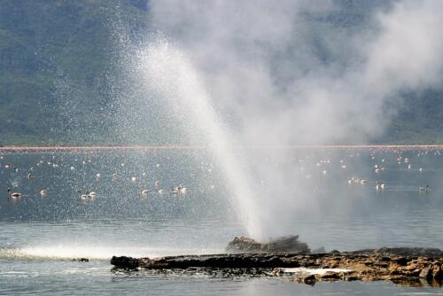 Lake Bogoria