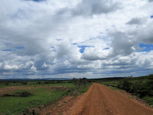 2015 Kenya Safari (24)