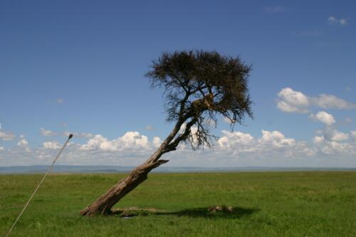 2015 Kenya Safari (246)