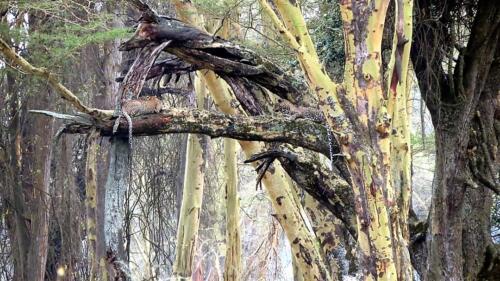 1589734972315 6667831753323739075 (002)