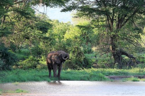 Tsavo West Nationalpark