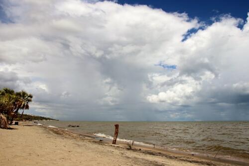 Turkana